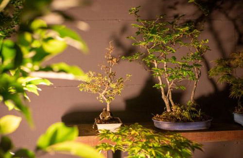 Il Giardino Segreto - Foto 31