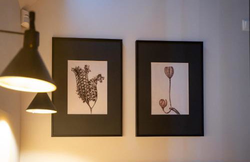 Modra Czapla - Foto 12