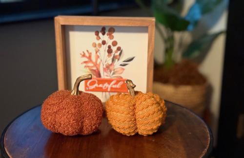 Luxurious 1875 centrally located Canton Akron home, expansive primary & sunset view - Foto 16