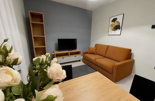 Apartamenty N, Trąbki - Photo 7