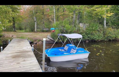 Lake Willow Lakefront House! Northwoods Retreat! - Foto 34