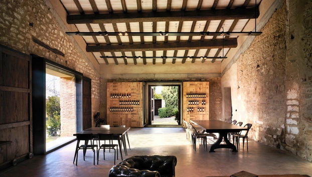 Contino Vineyards Winery (Alava) - Photo 5