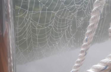 Hausboot Moselrose in Pölich - Foto 28