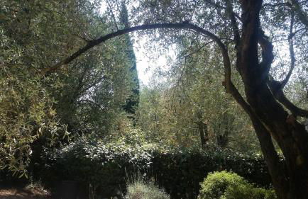 Beautiful private villa with open views - Foto 45