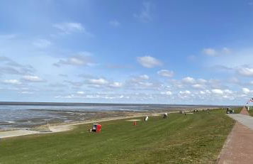 Appartement 1 mit Küche und neuem Bad, frisch saniert - Foto 33