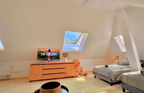 Panorama Studio im Schwarzwald - Foto 9