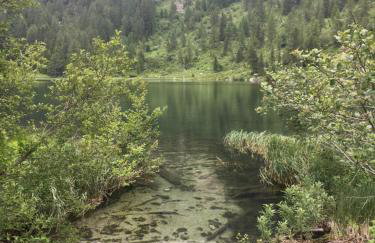 Sul cucuzzolo - Foto 73