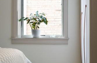 Ace Properties - Foto 37