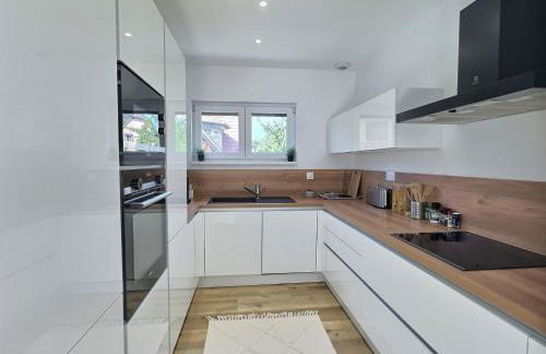 Alsace Appartement à Colmar climatisée garage, parking et terrasse - Foto 11