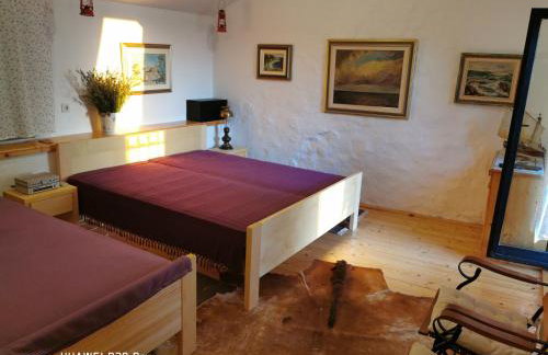 Authentic House Pelegrinka - Foto 11