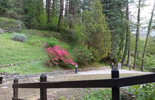 IL Bosco di Campo Marzano Sunlight - Foto 36