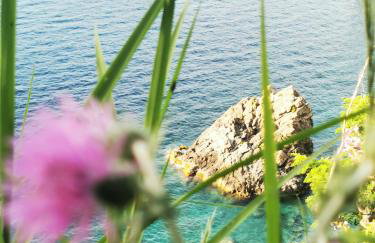 La Terrazza di Rovaglioso - Foto 33