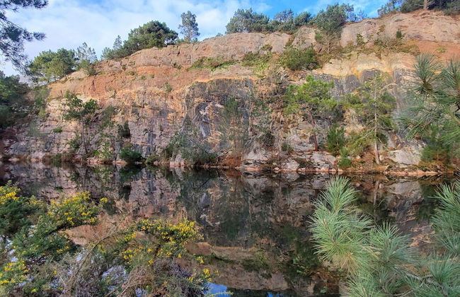 Stone House in Plurien Near Sandy Beaches - Photo 12