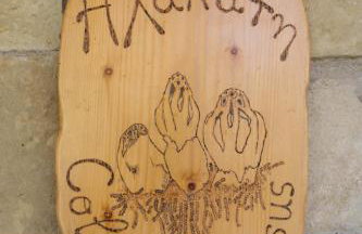 Τα Πέτρινα της Ελάτης - Petrina Elatis - Foto 16