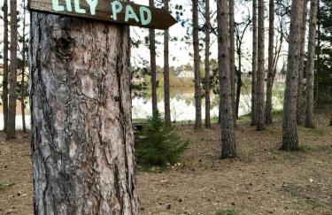 Lakeshore Lily Pad - Foto 10
