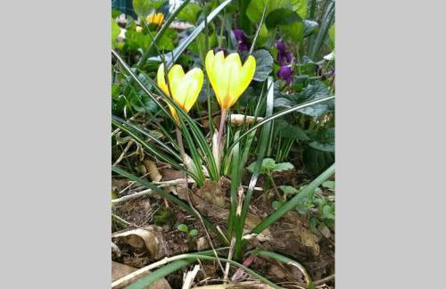 Casa del Sole - Foto 30