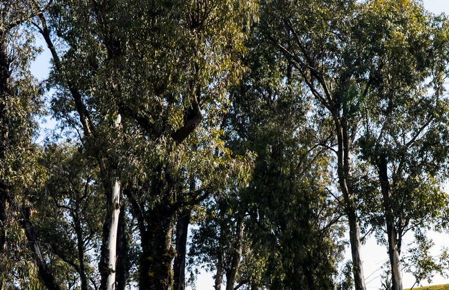 Tour por los cerros de Tucumán - Foto 2