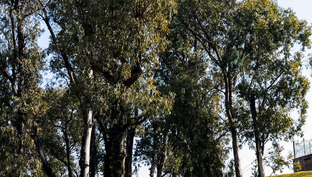 Tour por los cerros de Tucumán