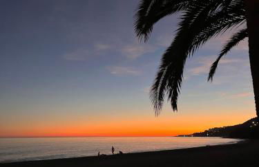 Casa Frijo Tropicana - Foto 27