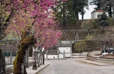 CASA do AÇÔR - Foto 24