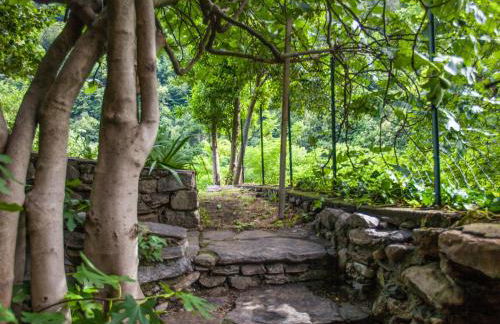 Holiday Home Al Fopp by Interhome - Foto 31