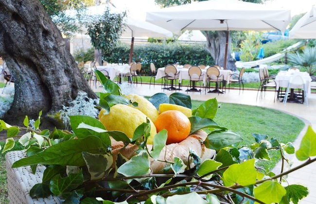 Blue Marine - Photo 40