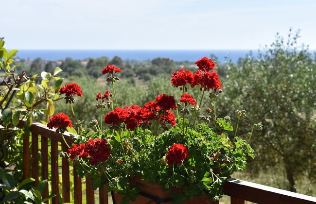 Barnìa - Agriturismo - Photo 42