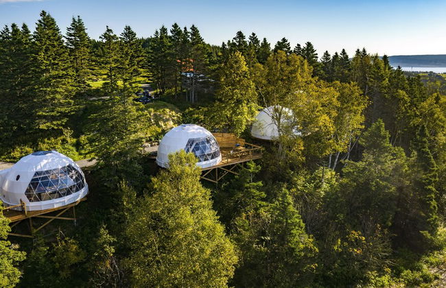 Domaine Renard - Photo 13