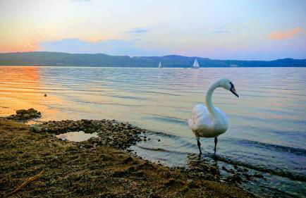 Ferienzimmer am Berzdorfer See Görlitz OT Tauchritz - Photo 23