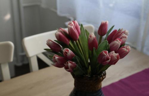 Joop Apartment - Foto 18