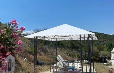 Real Holidays Antoniadou - Rustic House - Foto 16