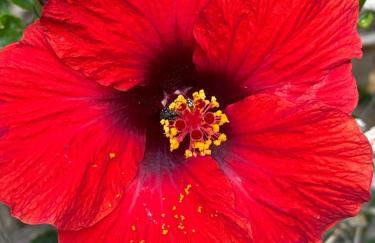 Guanabara Park 104 - Foto 38