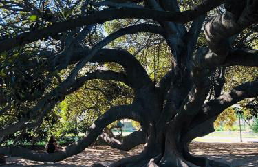 Central! Terrace! easy parking! - Foto 16