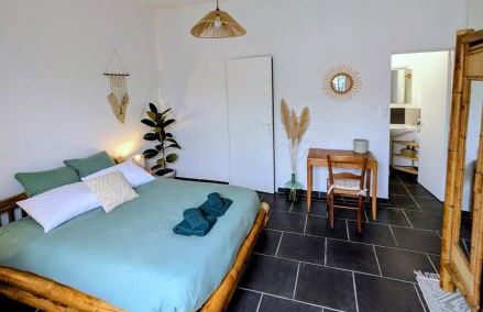 Le charme en bord de Loire - Photo 26