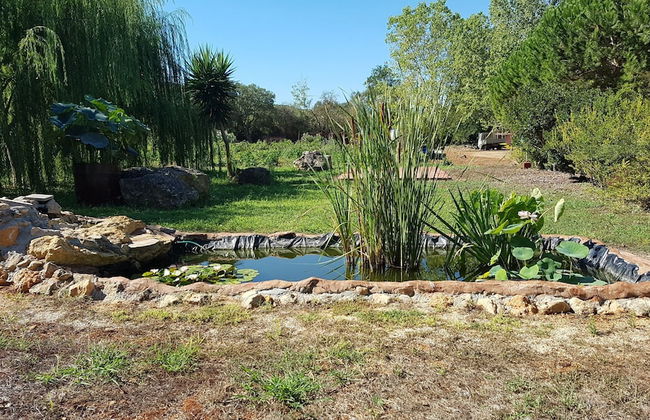 Agriturismo La Barca In Secca - Photo 22