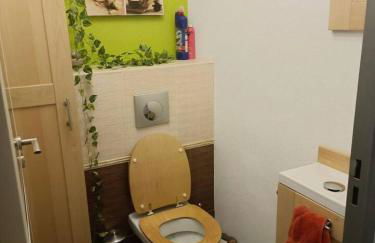 « Le lumineux » proche tramway/centre Montpellier - Photo 37