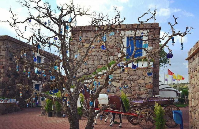 Obasya Kirsal Konaklama Tesisi - Special Class - Foto 17