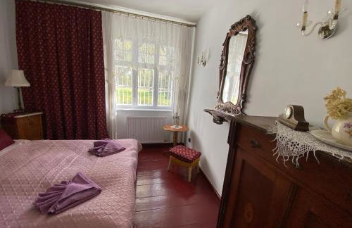 Dworek nad Jeziorem Wądzyn - Foto 34