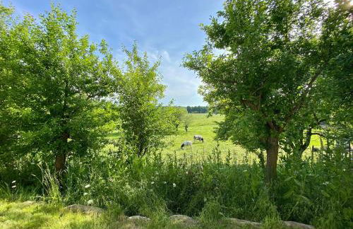 Haus Windfee Fewo 1 - Foto 26