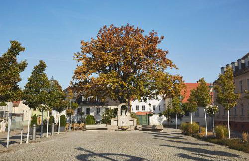 Altstadtloft Teltow - Foto 16