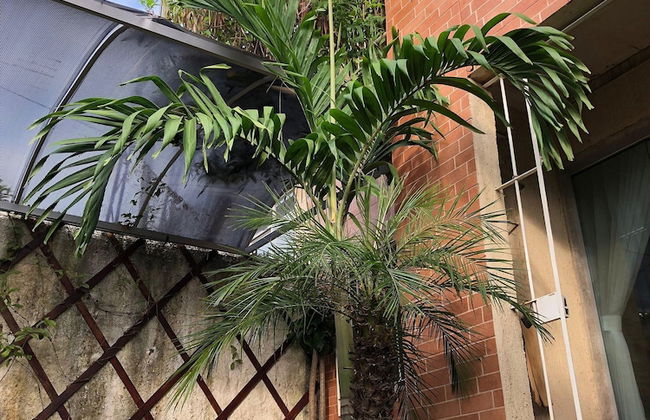 A Joia de Olinda - Foto 49