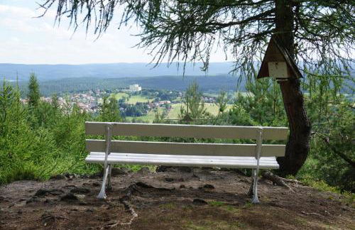 Wanderlust - Thüringer Wald, Rennsteig, Finsterbergen - Photo 17