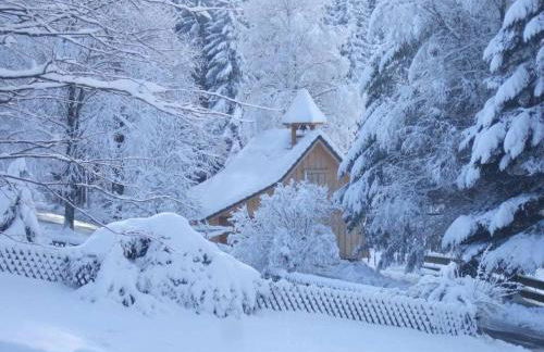 on the Willmann farm - Foto 6