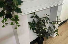 Entre Baie de Somme et Falaises - Foto 6