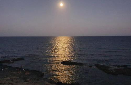 Villa Mangata - Photo 16