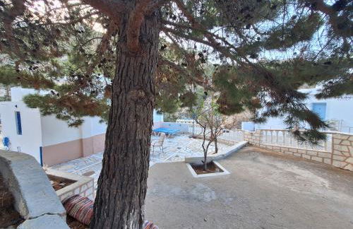 Zoes House - Foto 26