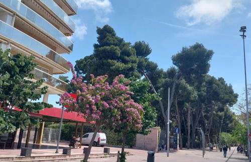 Morning Coffee by the Sea 1 BR Between Capellans and Llevant Beaches - Foto 60