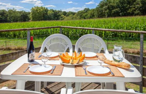 Gorgeous Apartment In Cassen With Swimming Pool - Foto 14