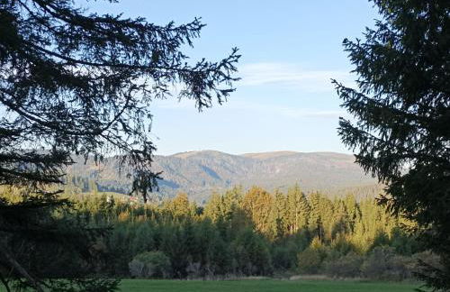 Ferienwohnung Tannenblick - 3 Schlafzimmer, Feldberg-Falkau - Photo 12