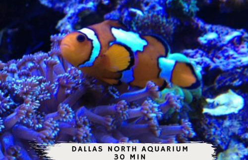 4-BR Waterfront - Pool Kayak Paddleboard & More - Foto 37